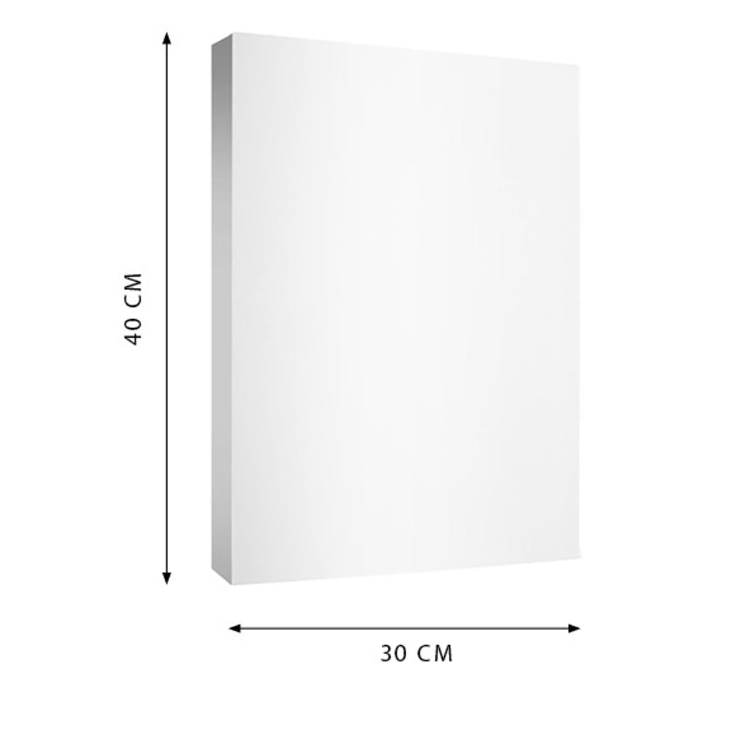 Pryma Tela per Pittura Altezza di 3,6 cm - Tela per Artisti, 100% Cotone, Pronta all'Uso, Ideale per Colori a Olio, Acrilici e Tempere (30x40 cm)