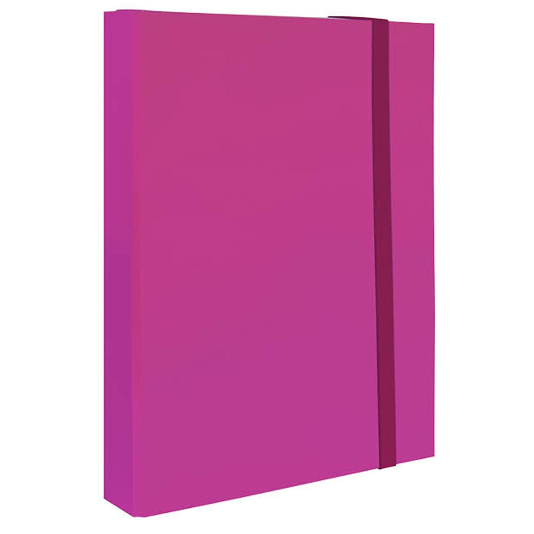 Pryma Cartella con Elastico Piatto 25x35 Cm - Organizzatore Documenti, Design Resistente, Colori Moderni (Fucsia, D5)
